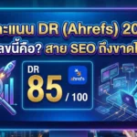ค่าคะแนน DR(Ahrefs)2026: ตัวเลขนี้คือ? สายSEO ถึงขาดไม่ได้ 3 ค่าคะแนน DR(Ahrefs)2026: ตัวเลขนี้คือ? สายSEO ถึงขาดไม่ได้