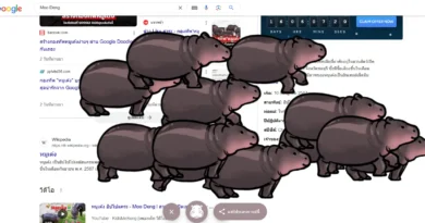 Google ชวน "หมูเด้ง" วิ่งเล่นบนหน้าค้นหา