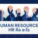 HR คือ ตำแหน่งอะไร? บทบาทหน้าที่และความสำคัญของฝ่ายบุคคล 2 HR คือ ตำแหน่งอะไร