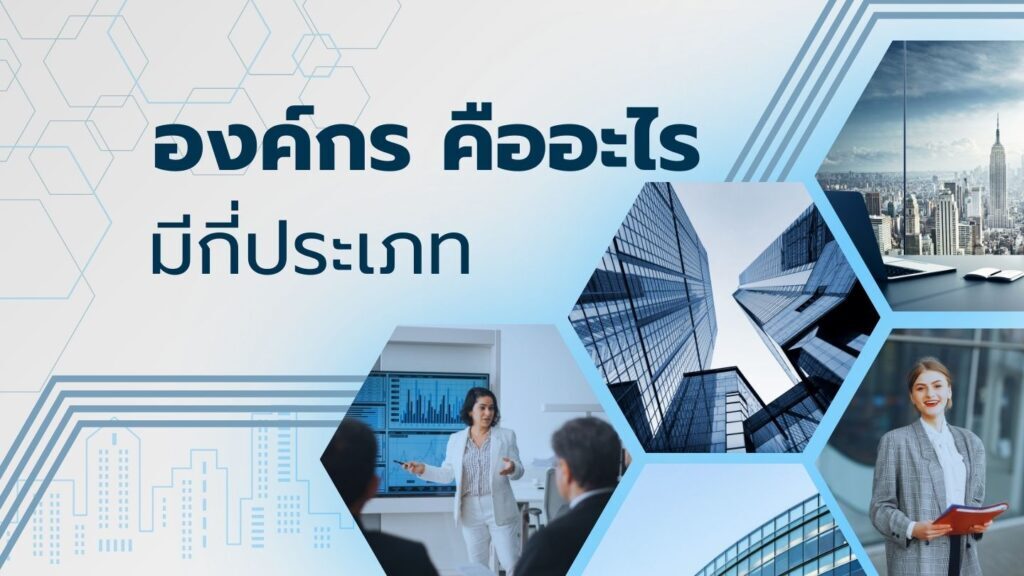 องค์กร คืออะไร มีกี่ประเภท
