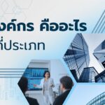 องค์กร คืออะไร มีกี่ประเภทในยุคนี้? 3 องค์กร คืออะไร มีกี่ประเภท