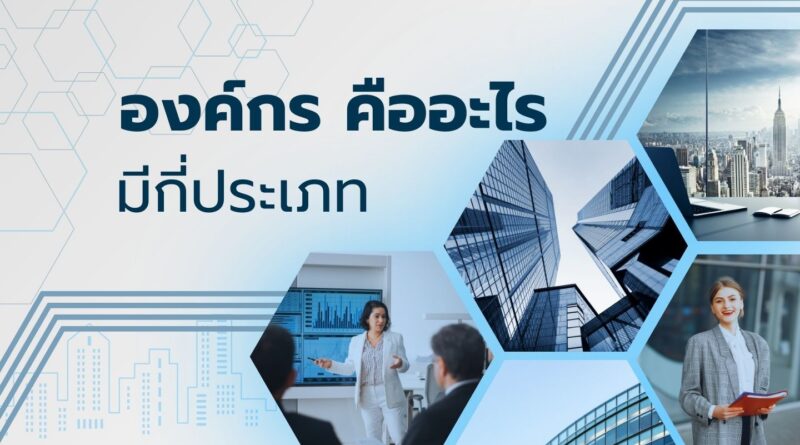 องค์กร คืออะไร มีกี่ประเภท