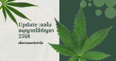 ขอใบอนุญาตใช้กัญชา ร้านขายกัญชา:2568 เพื่อการแพทย์เท่านั้น
