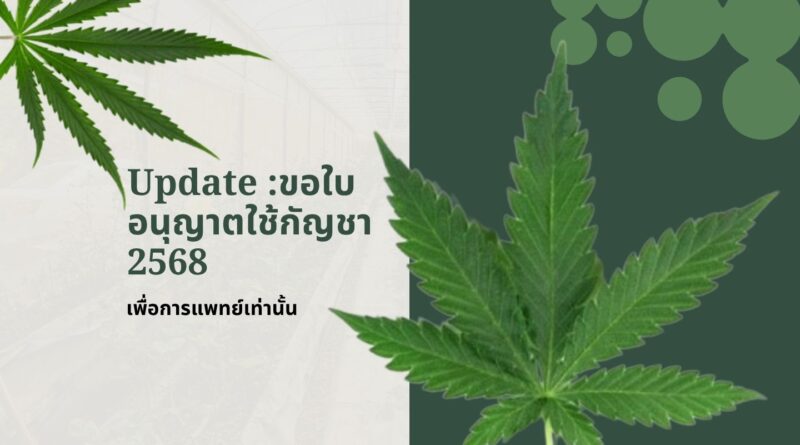 ขอใบอนุญาตใช้กัญชา ร้านขายกัญชา:2568 เพื่อการแพทย์เท่านั้น
