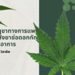 กัญชาทางการแพทย์: ใบสั่งยาช่อดอกกัญชา 15 อาการโดย 7 วิชาชีพ 4 กัญชาทางการแพทย์: ใบสั่งยาช่อดอกกัญชา 15 อาการโดย 7 วิชาชีพ