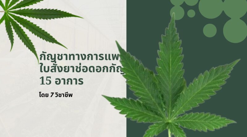 กัญชาทางการแพทย์: ใบสั่งยาช่อดอกกัญชา 15 อาการโดย 7 วิชาชีพ
