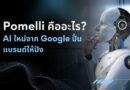 Pomelli คืออะไร? AI ใหม่จาก Google ปั้นแบรนด์ให้ปัง